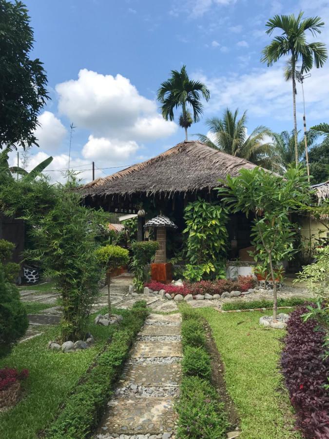 Villa Paradise Bukit Lawang Esterno foto